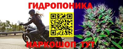 каннабис Славгород