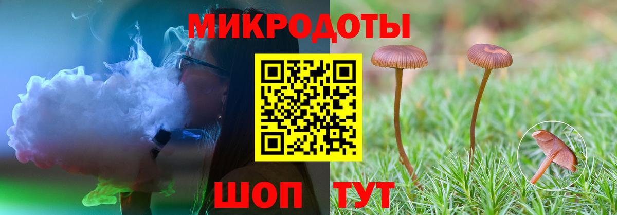 где купить наркоту  Галлюциногенные грибы прущие грибы  Вход с VPN  Новошахтинск 